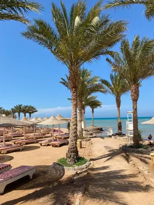a beach with palm trees and tables and the ocean at Apartment in el karma aqua beach resort hurghada near el gouna 3 in Hurghada