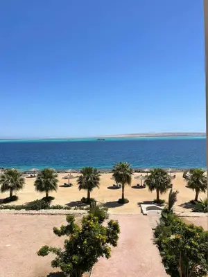a view of a beach with palm trees and the ocean at Studil for rent 206 hill in Hurghada
