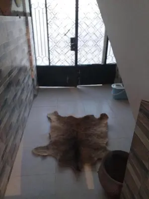 a large rug on the floor in front of a door at Mourad morsy مراد in Najâ€˜ al MadÄbb