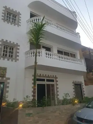 a white house with a palm tree in front of it at Sekhmet Appartement 2 chambres in Luxor