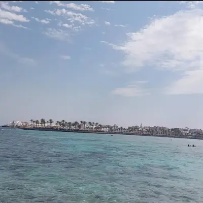 a view of a beach with palm trees and the water at Tiba Golden Resort apartment 45 with beach access in Hurghada