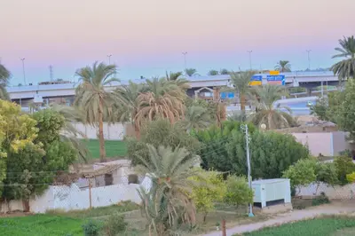 a view of a park with palm trees and a building at king valley House in ‘Ezbet Abu Ḥabashi