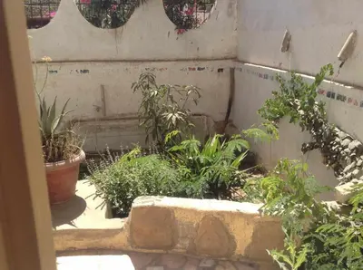 a garden with potted plants on a wall at Luxor Stables Apartment in Luxor