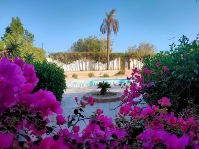 a garden with pink flowers and a swimming pool at Lux Gardenhouse pool WiFi Private garden Hurghada in Hurghada
