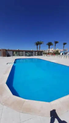 a large blue swimming pool with palm trees in the background at Hurghada Ägypten Scandic Resort in Hurghada