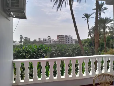 a balcony with a white railing and palm trees at Djorff Guest House in Luxor