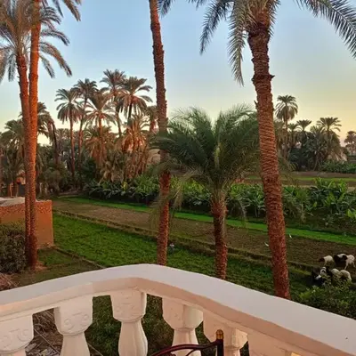 Djorff Guest House