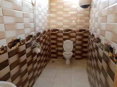 a bathroom with a toilet with animals on the walls at SaYeD guest house in Dâbûb