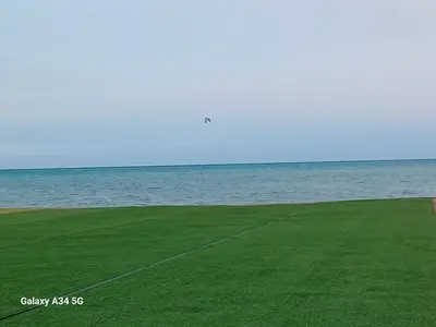 a green field with the ocean in the background at Fanadir bay resort in Hurghada