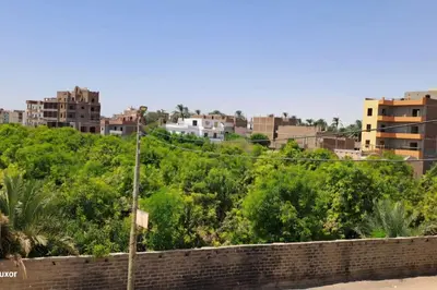 a view of a city with buildings and trees at Al Hayat house in Luxor