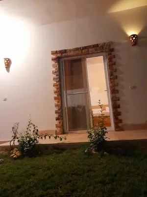 a room with a window and some plants in the grass at hodhod luxor in Al Qurnah