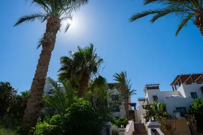 a group of palm trees in front of a building at Nayah Stays, Ancient Sands Luxurious Pool Terrace Apartment in Hurghada