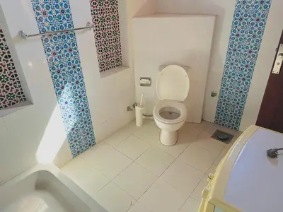 a bathroom with a toilet and a bath tub at King Tut in Luxor