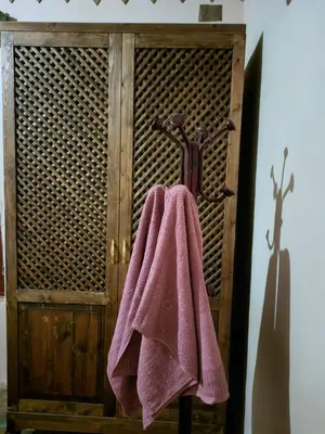 a towel hanging on a rack in a bathroom at Abou El Leef villa in Luxor