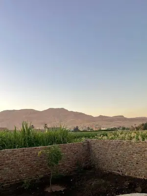 a brick wall with mountains in the background at Habu flower in Al Aqālitah