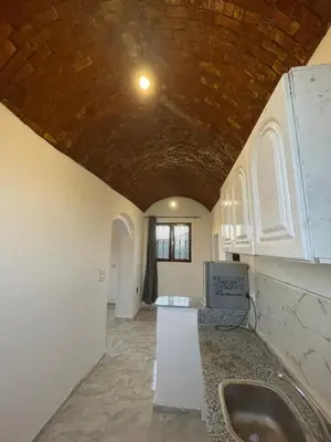 a kitchen with a ceiling with a sink and a counter at Habu flower in Al Aqālitah