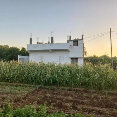 a white building in the middle of a field at Nora House in Luxor