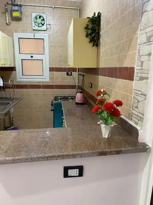 a kitchen counter with a vase with red flowers on it at Steven in Luxor