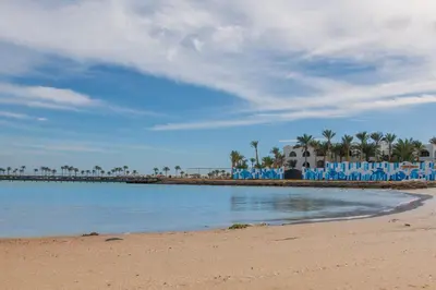 a beach with blue beach chairs and palm trees at scandic resort 647 in Hurghada