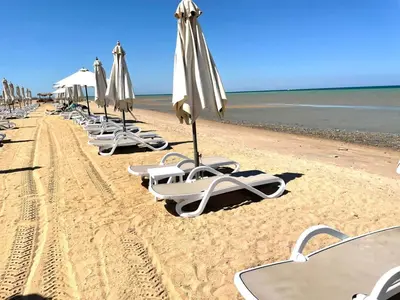 a row of lounge chairs and umbrellas on a beach at SunShine Mangrove in Hurghada