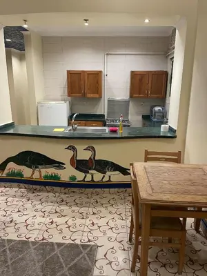 a kitchen with a counter with three birds on it at Eye of Horus House in Luxor
