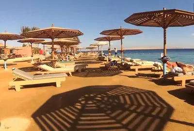 a beach with many chairs and umbrellas and the ocean at Tiba Golden Resort in Hurghada