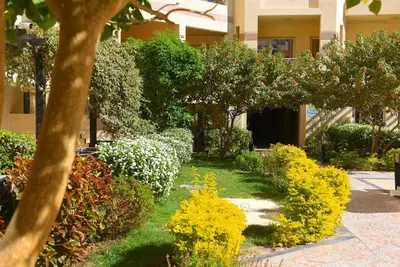 a garden with yellow flowers and bushes in front of a building at Florenza khamsin Apartment in Hurghada