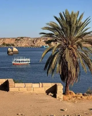 a palm tree and a boat in the water at البيت النوبى in Aswan