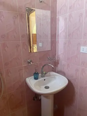 a bathroom with a sink and a mirror at Nile Temple view in Luxor