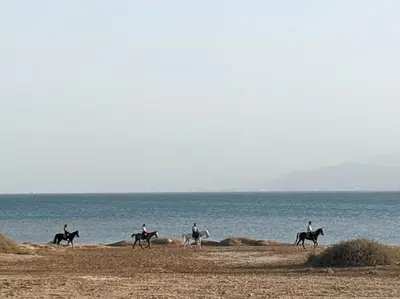 a group of people riding horses on the beach at Magical Cabana Steps From Beach & Pool in Hurghada
