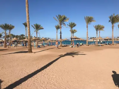 a shadow of a person on a beach with palm trees at hotel mirage aqua park in Hurghada