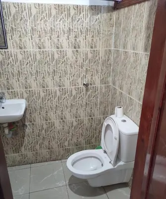a bathroom with a toilet and a sink at Pro Luxor guest house in Luxor