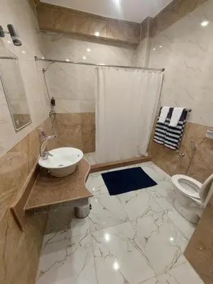 a bathroom with a sink and a shower and a toilet at Carter Guesthouse Luxor 2 in ‘Ezbet Abu Ḥabashi