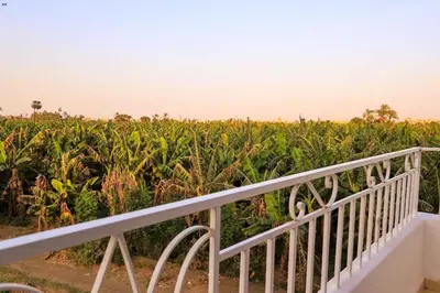 a view of a corn field from a balcony at LUXOR DREAM - Panoramic Villa in Luxor