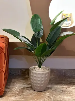 a plant in a white vase sitting on the floor at Luxe Nest Luxor Serviced Apartments 101 in Luxor