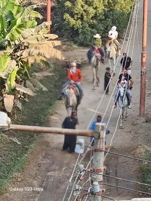 a group of people riding horses down a dirt road at Nanis Guest House Nile View in Luxor