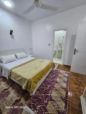 a bedroom with a bed and a rug at Nanis Guest House Nile View in Luxor