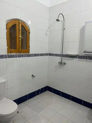 a bathroom with a toilet and a mirror and a shower at Shamandy house same same but different in Jazīrat Aswān