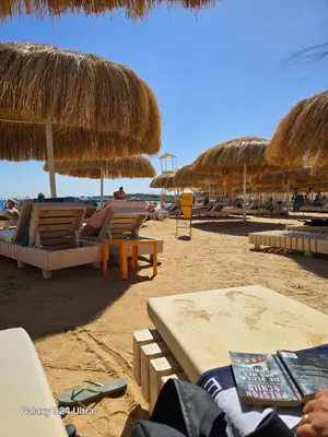 a beach with chairs and straw umbrellas and the ocean at Sea view Prinessa Resort in Hurghada