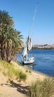 a sail boat on the water next to a beach at Mama Africa Felucca in Aswan