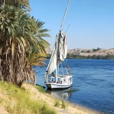 Mama Africa Felucca