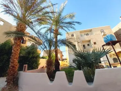 a group of palm trees in front of a building at Osiris Hotel Luxor \u60a8\u5728\u76e7\u514b\u7d22\u7684\u7b2c\u4e8c\u500b\u5bb6 in Luxor