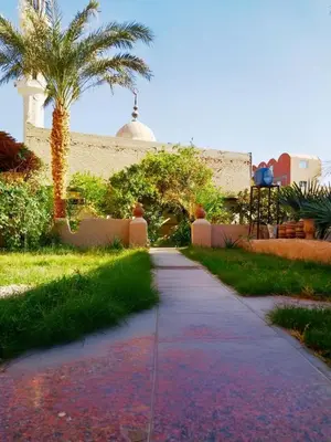 a walkway with palm trees and a building at Osiris Hotel Luxor \u60a8\u5728\u76e7\u514b\u7d22\u7684\u7b2c\u4e8c\u500b\u5bb6 in Luxor