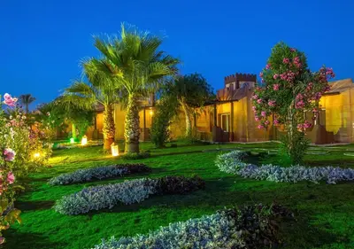 a garden with palm trees and flowers at night at HRG Hurghada Hotel Apartments Aqua park - By MAMO Property in Hurghada