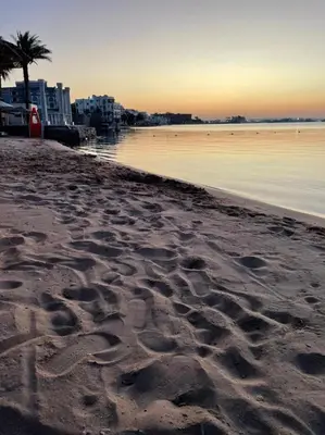a sandy beach with a palm tree and the ocean at Mashrabiya one bed room apartment in Hurghada