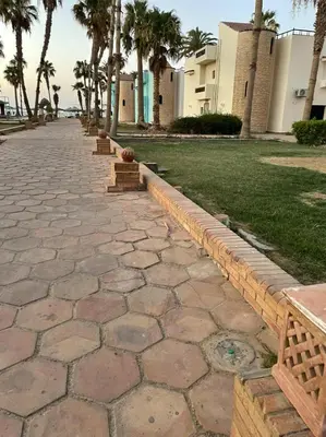 a row of benches on a walkway with palm trees at Mashrabiya one bed room apartment in Hurghada