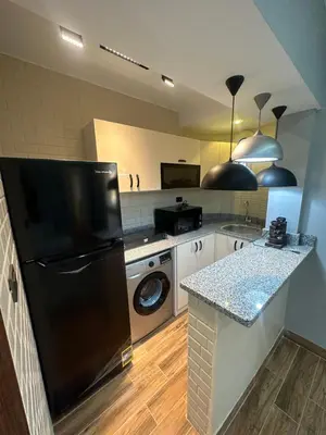 a kitchen with a black refrigerator and a dishwasher at Mashrabiya one bed room apartment in Hurghada