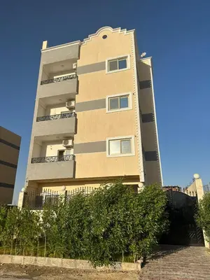 a tall building with a tree in front of it at فيلا ايلا ترافيل in Luxor