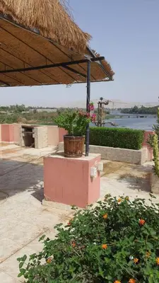 a potted plant sitting on top of a planter at villa on Nile in Luxor