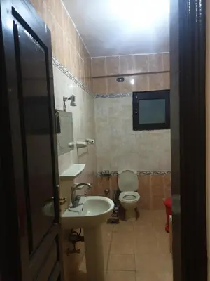 a bathroom with a sink and a toilet at El Quarn Apartment in ‘Ezbet Abu Ḥabashi